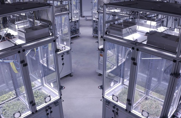 Im Reich des Regenwurms: Der Boden unter unseren Füßen