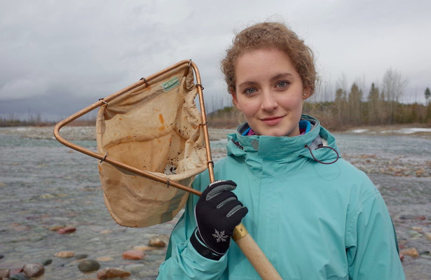 Im Zauber der Wildnis