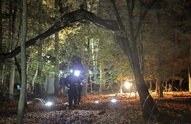 In Search of Monsters