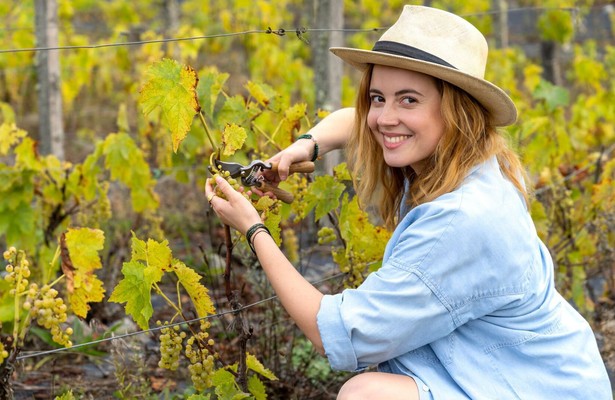 Inga Lindström: Minnas Traum