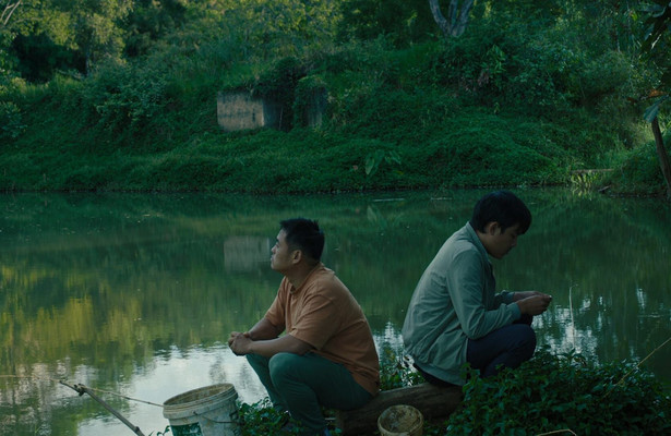 Inside the Yellow Cocoon Shell