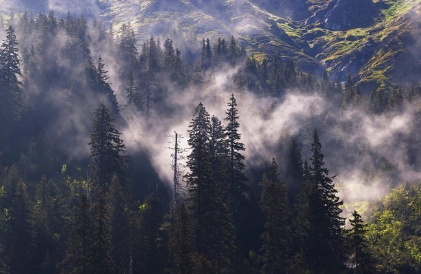 Into the Carpathian wild