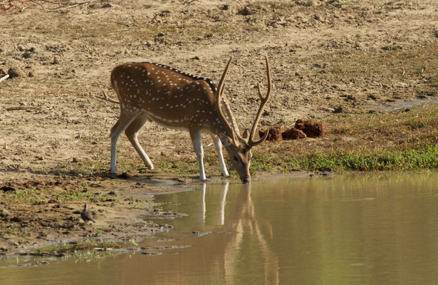 Island of the Monsoon