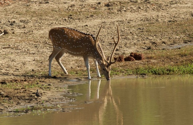 Island of the Monsoon