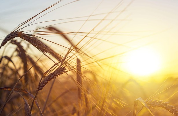 Itinéraires Paysans