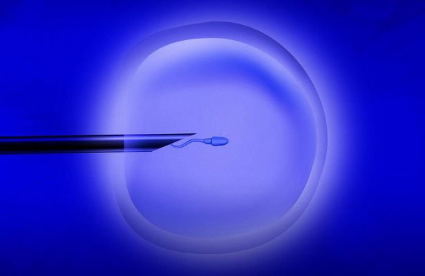 Ivf in België
