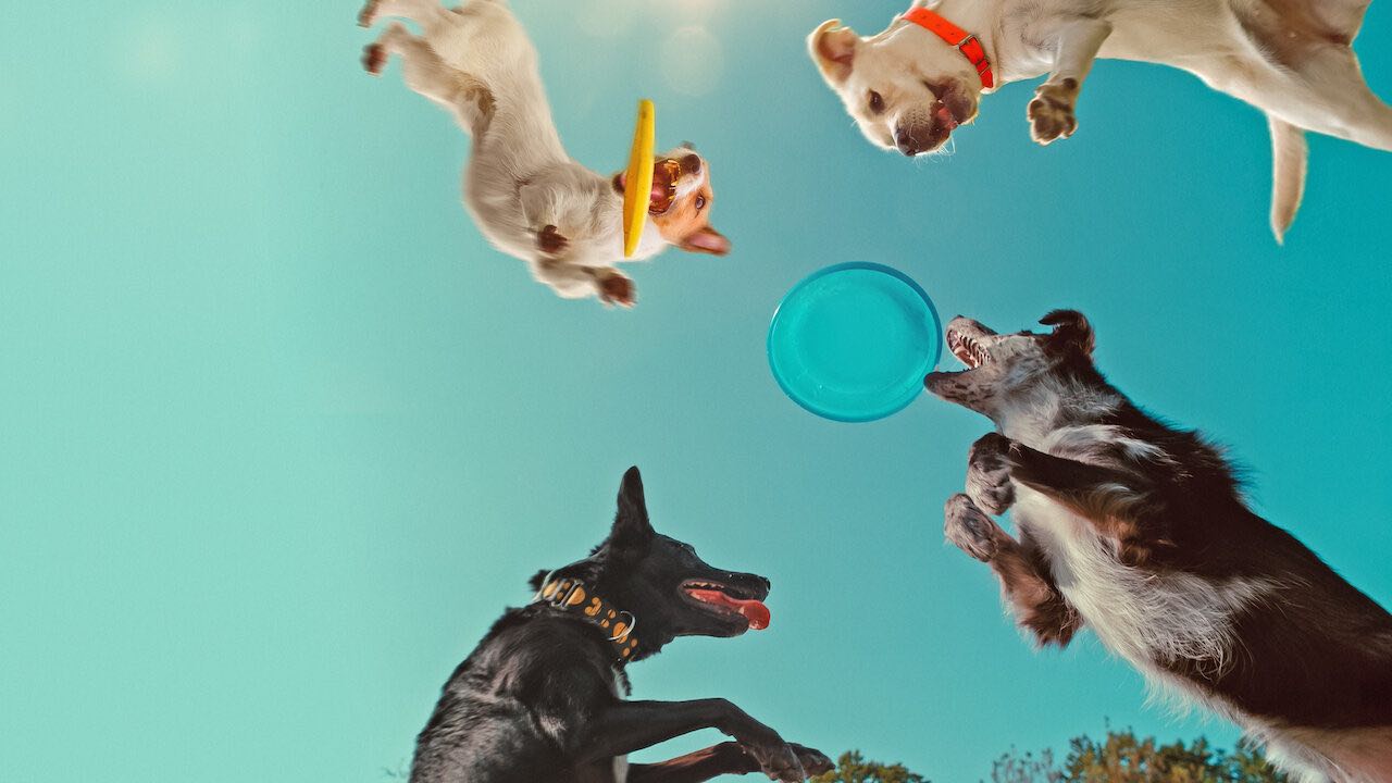 Article header image