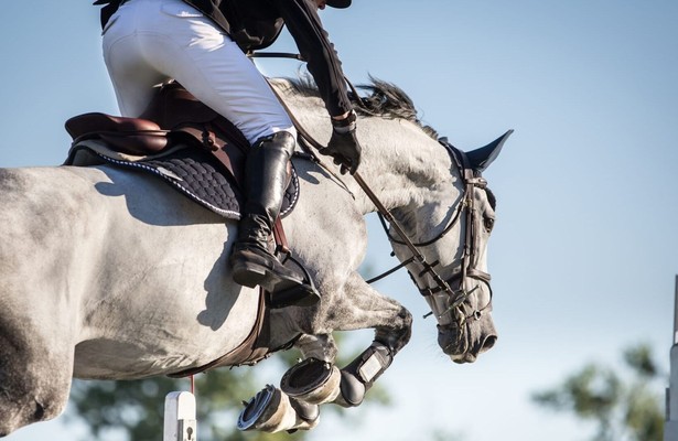 Jumping international de Dinard