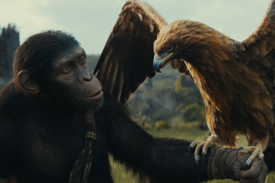 Kingdom of the Planet of the Apes