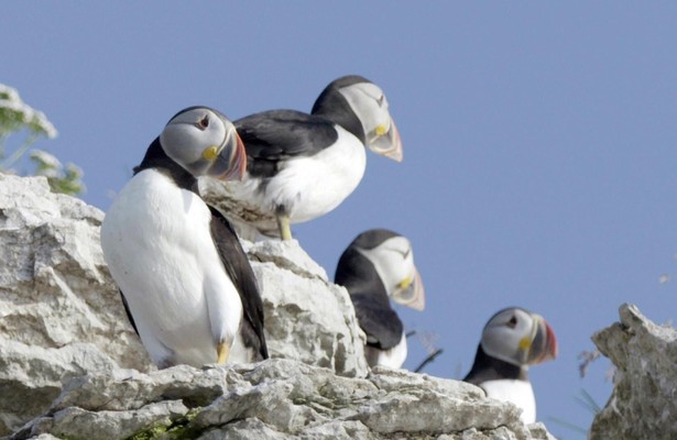 Kanadas Nationalparks