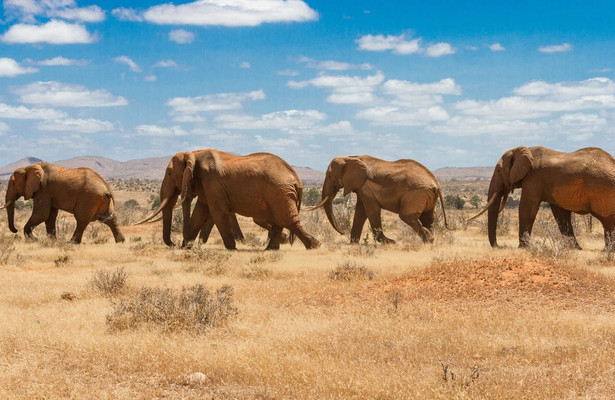 Kenias Norden: Jenseits von Safari