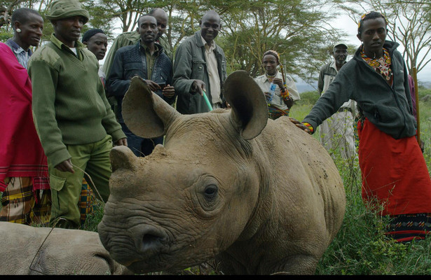 Kenia's wilde dieren