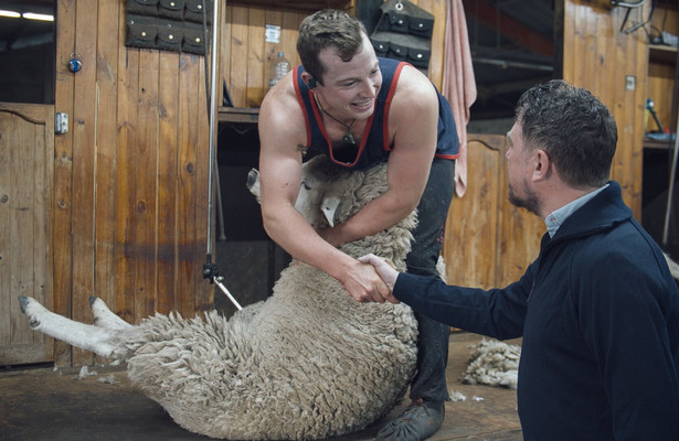 Keuringsdienst van Waarde