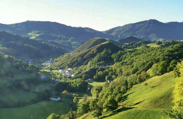 Kintoa, ein Schwein wie kein anderes