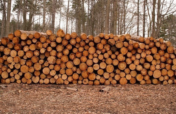Knapp, knapper, Brennholz