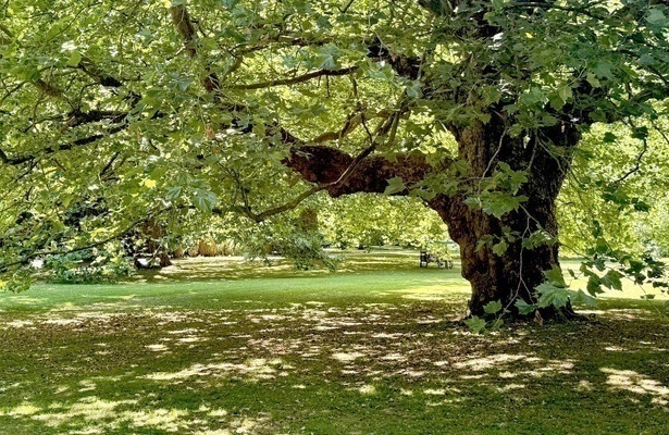 Königliche Gärten - Audley End House