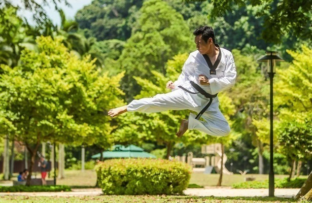 Kungfu - Wise
