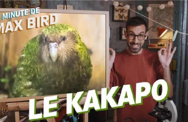 La minute de Max Bird