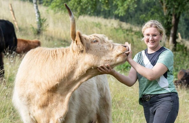 Land und lecker