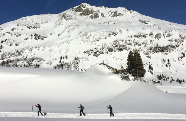 Langlaufen: Wereldbeker Davos