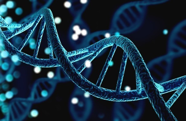 Le court du jour: Femmes de science