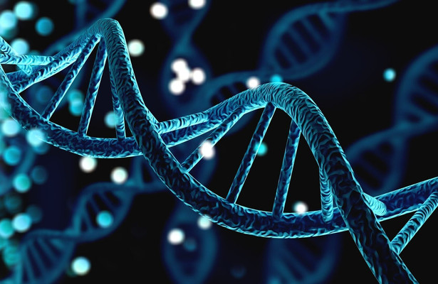 Le court du jour: Femmes de science
