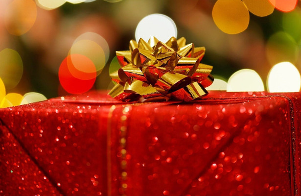 Les 30 travaux de Charlie et Elliot