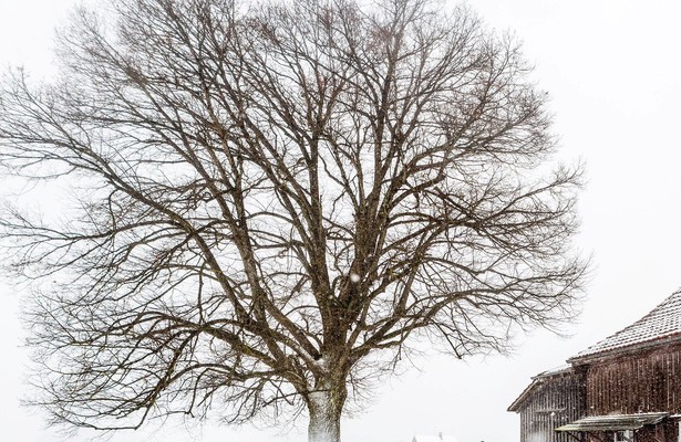 Les Alpes suisses: coutumes et superstitions