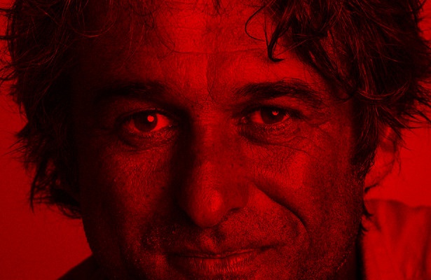 Les rayures du zèbre