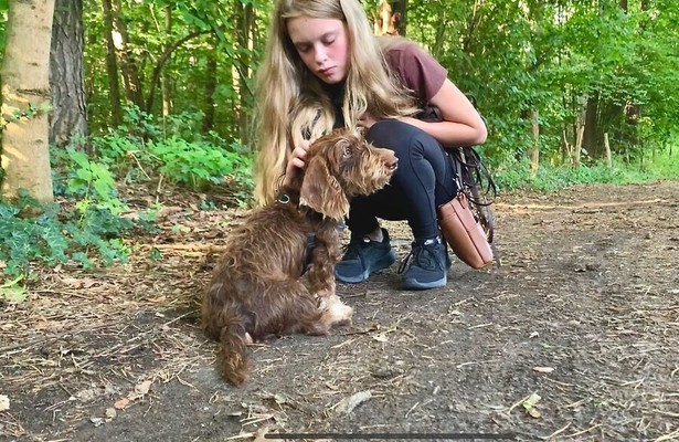 Liebste Fellnasen - Abenteuer Hundeschule