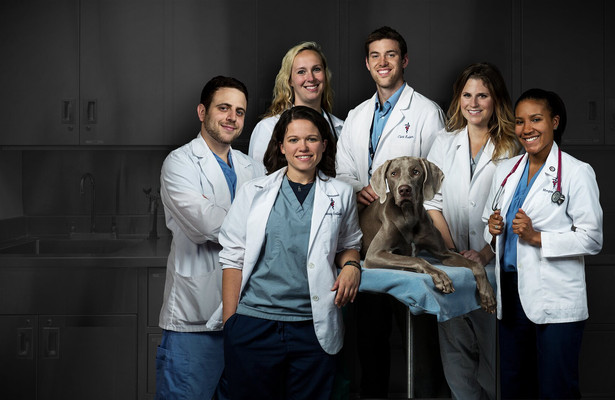 Life at vet university