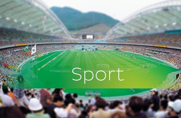 Ligue 1 McDonald's - Portraits de joueurs