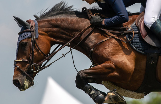 Longines FEI Jumping World Cup Western Europe