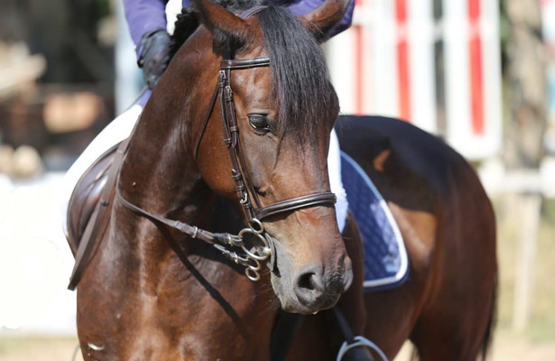 Longines League of Nations