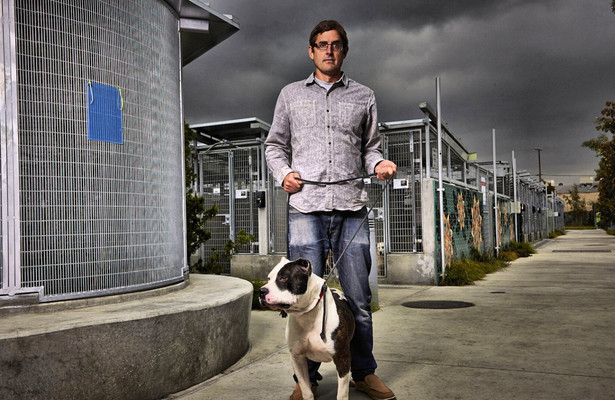 Louis Theroux: LA stories - City of dogs