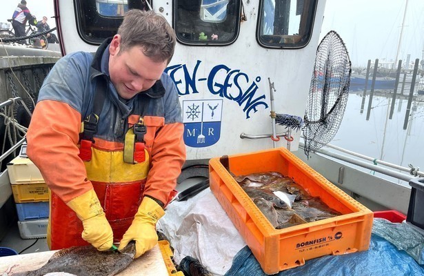 Maasholm macht neu - Ein Fischerdorf an der Schlei im Wandel