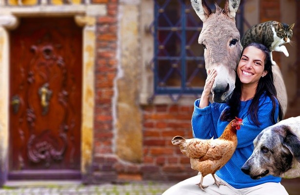 Märchenreise: Der Froschkönig