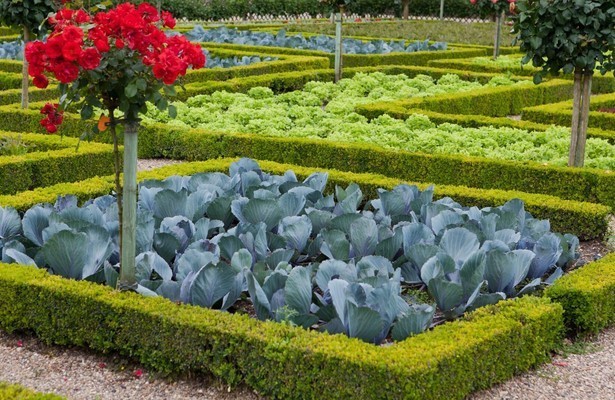 Marillengärten und wilde Natur