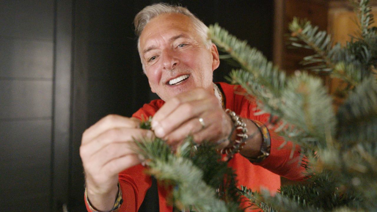 Martien Meiland en de kerstboom