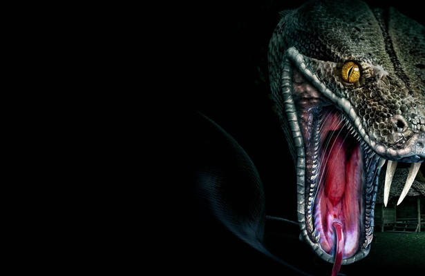 Megaboa