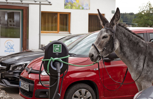 Mein Vater, der Esel und ich