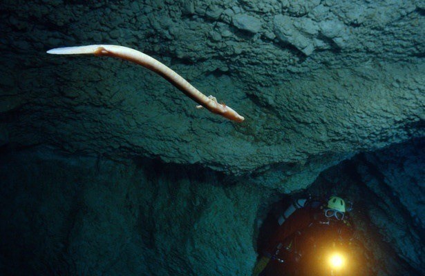 Menschen im Karst - Leben zwischen Himmel und Hölle