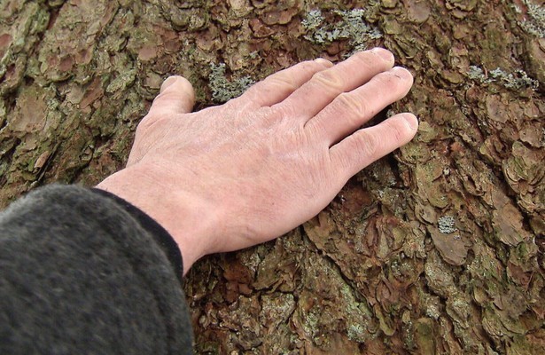 Menschen mit Gespür für Holz