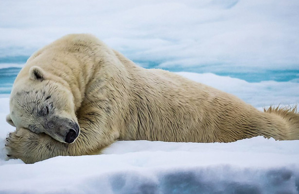 Mindful escapes: Breathe, release, restore