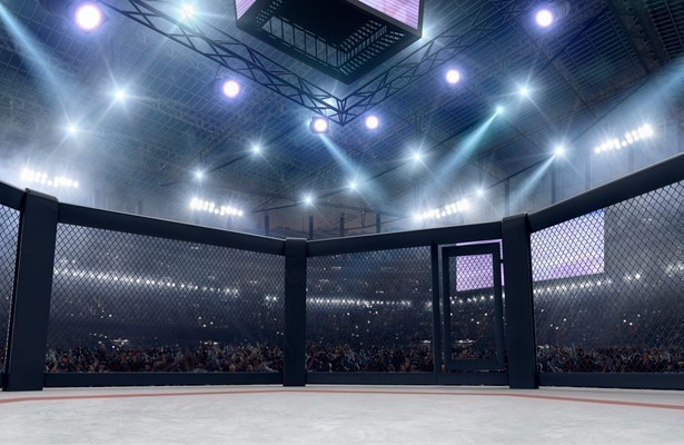 MMA: Oktagon 94 in Frankfurt