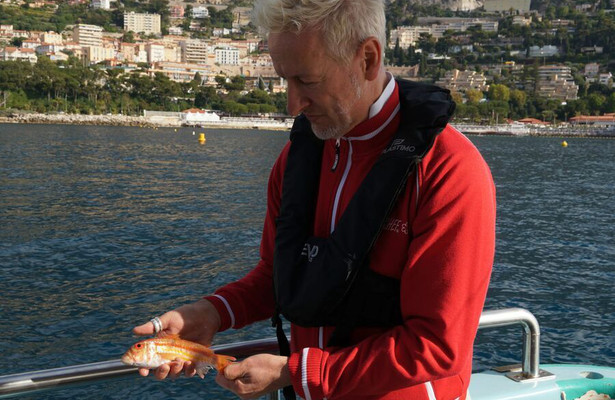 Monte-Carlo Riviera Chik