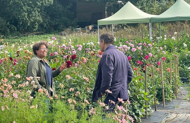 Monty Don's British gardens