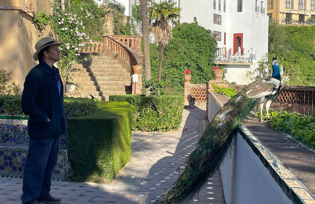 Monty Don Spanish Gardens