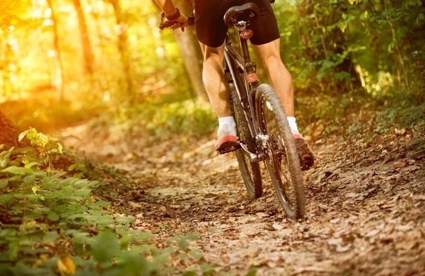 Mountainbiken: Race bikes