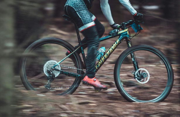 Mountainbiken: Wereldbeker Haute-Savoie (v)